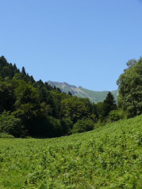 Plané d'Assiste