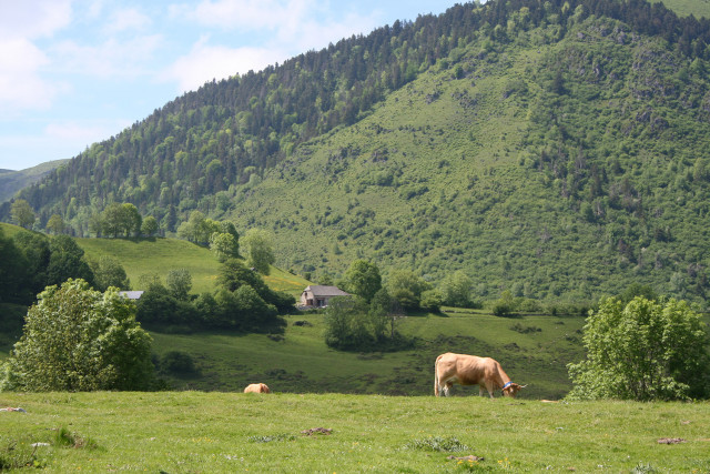 Plateau-Benou3©OTLaruns
