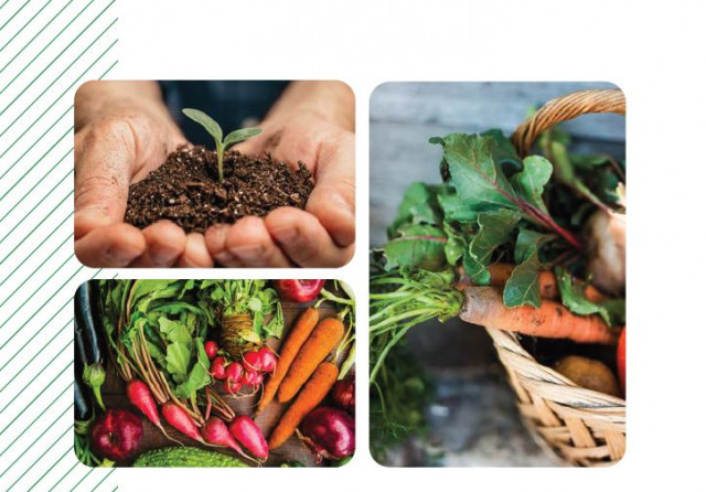 Slow food bearn