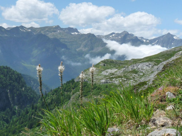 Vue sur le sentier