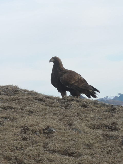 WhatsApp Image 2025-12-16 at 11.54.27