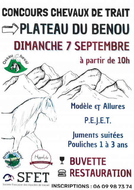 Concours chevaux de trait