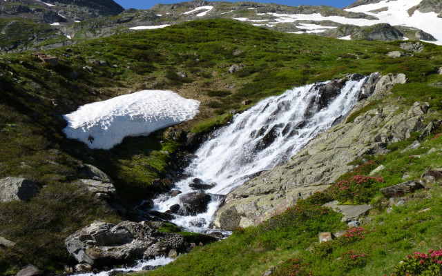 anglas-neve-et-rhodo-1440x900©otebge.follet