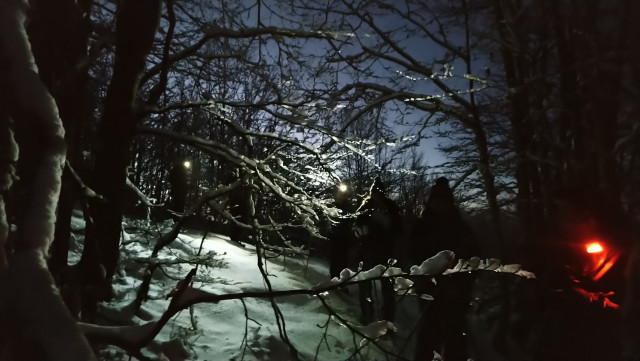 balade-en-raquette-de-nuit-l-aventure-nordique-183011