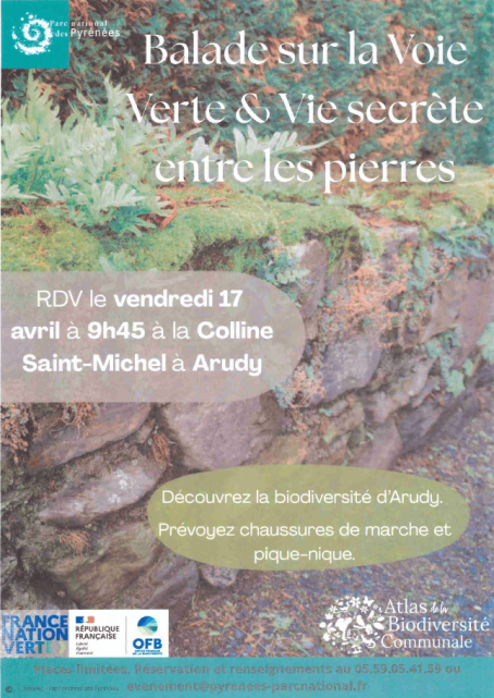 balade voie verte 17-04