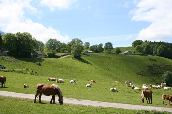 benou-et-chevaux-1508