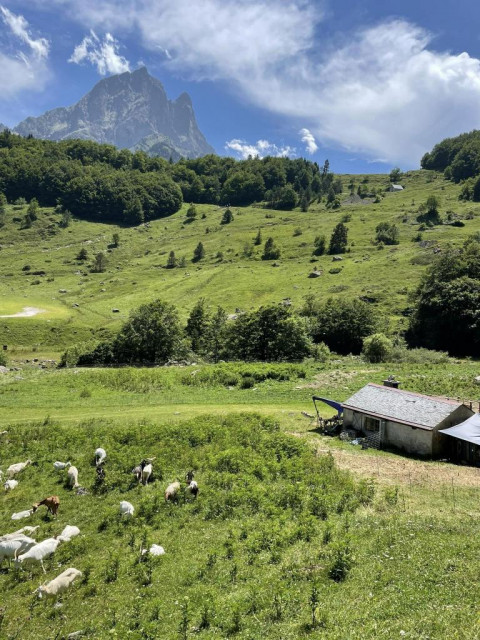 cabane estive