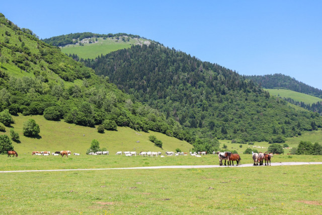 estive-benou3-otvo-304309