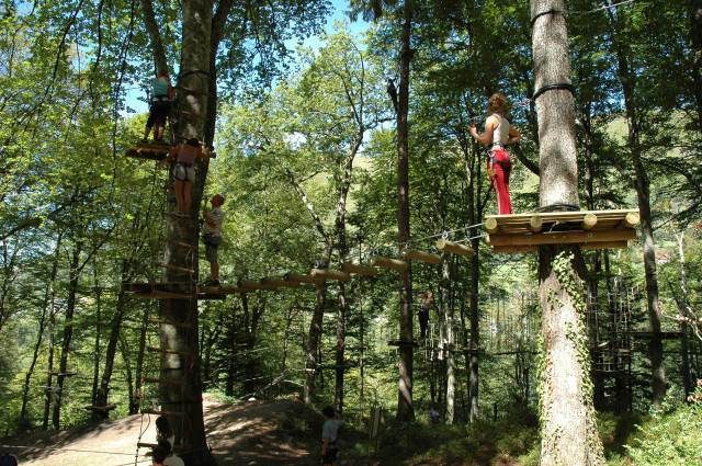 foret-suspendue01-otebg-j-etcheverry-156729