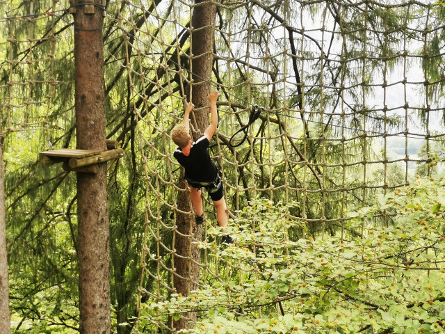 foret-suspendue01-otvo-cb-146790