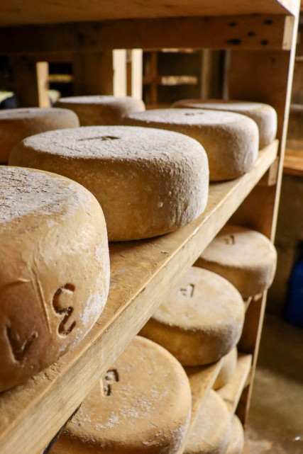 fromage-saloir-gabas3-otvo-319258