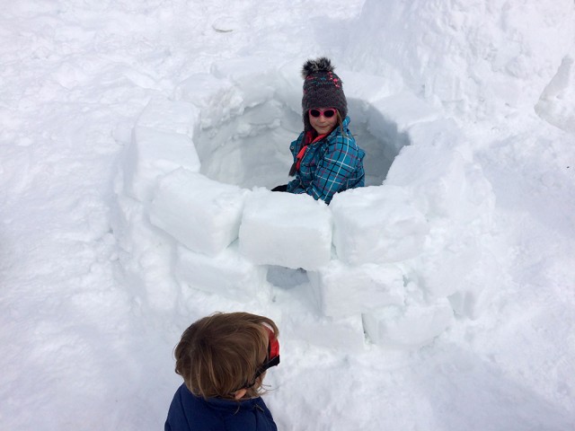 igloo-2-credit-photo-bamvo-3281