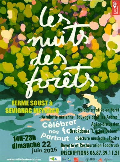 les nuits des forêts