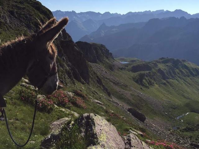 montagne-histoire-p-vidal-d-bordes-5176