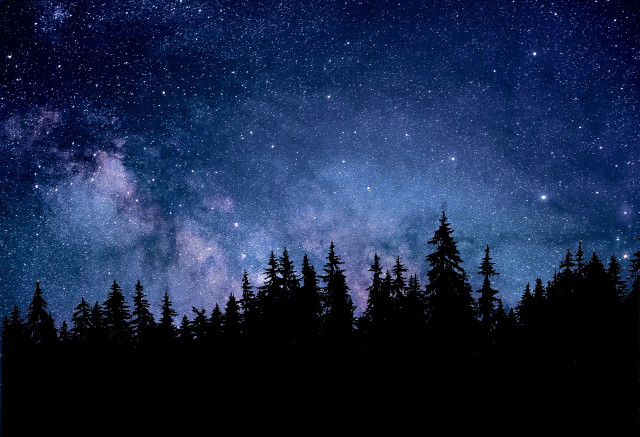 night-4489561_1280