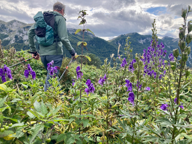 photo-francine-magrou-2-227585