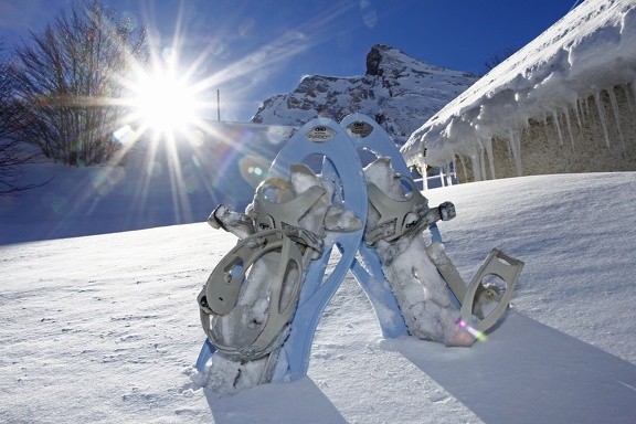 raquette-givrees-1395 raquette-givrees-1395