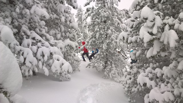 raquette-ossau14-g-bergeras-3188