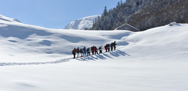 raquettes-ossau3-caminam-4272