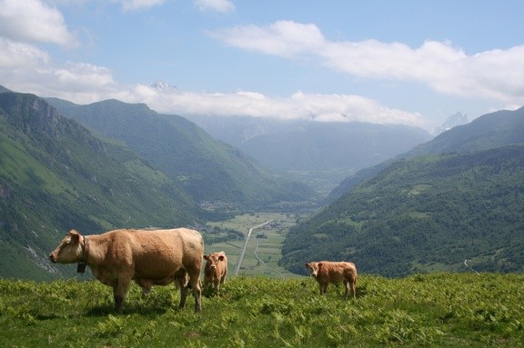 vue-depuis-le-benou-1511