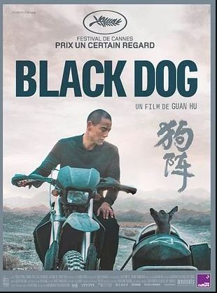 Black dog