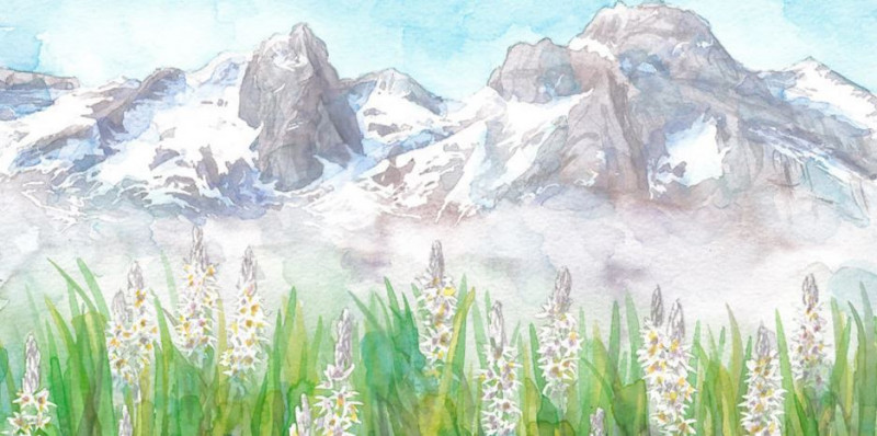 Exposition acryliques et aquarelles