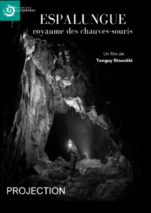 Espalungue, royaume des chauves-souris