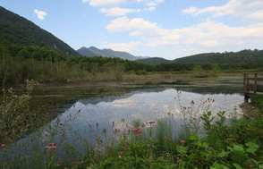 Tourbière