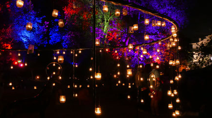 Eclats de feux 2