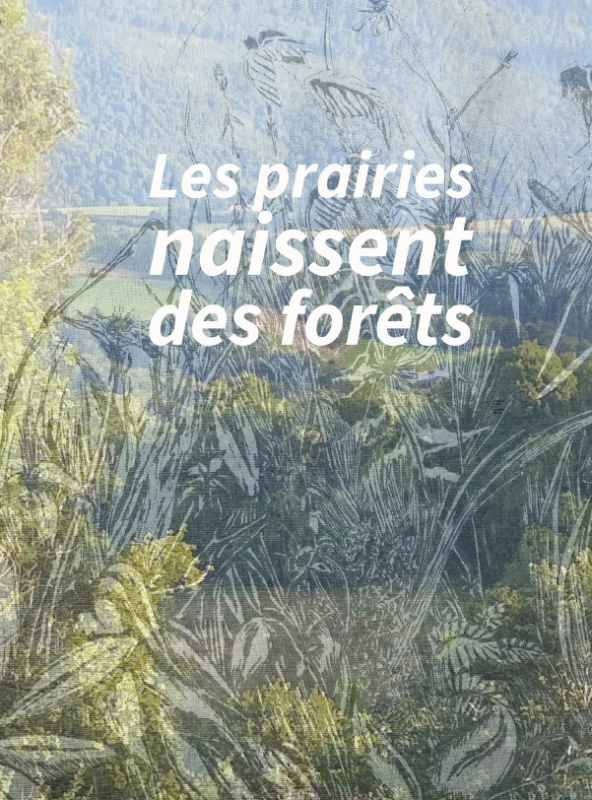 Les prairies naissent des forêts