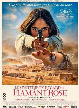 Le mystérieux regard