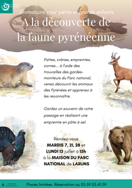 A la découverte de la faune pyrénéenne