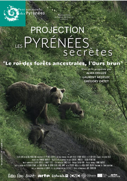 l'Ours Brun
