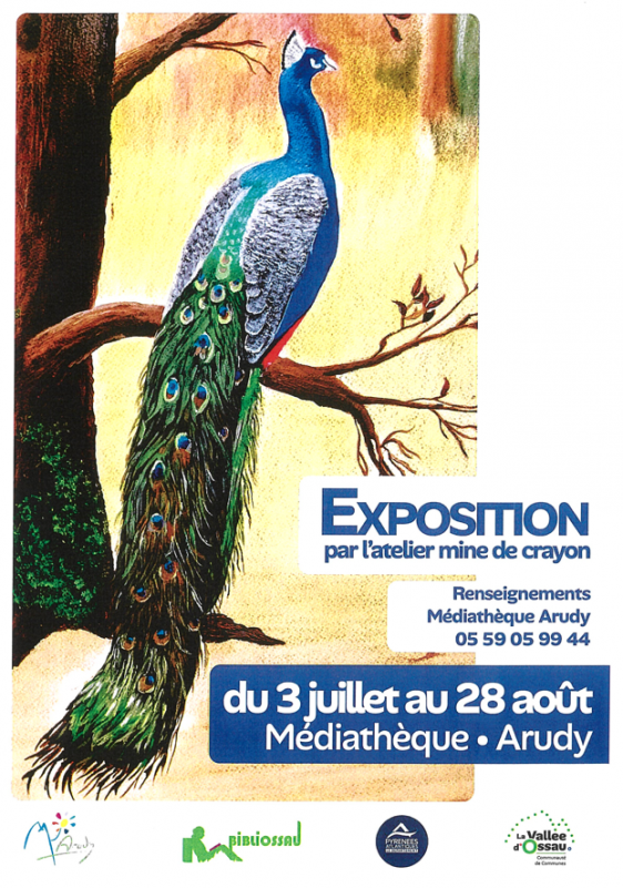 Expo festival de couleurs