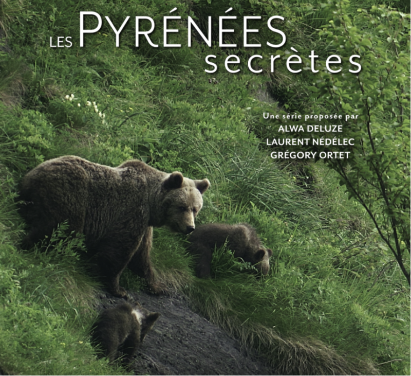 Pyrénées secrètes - © ©PN Pyrénées secrètes