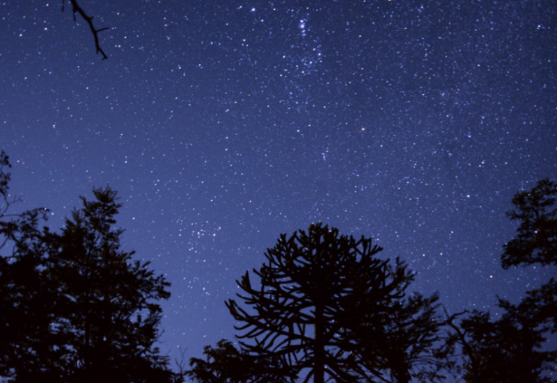 La tête dans les étoiles - © ©CCVO La tête dans les étoiles