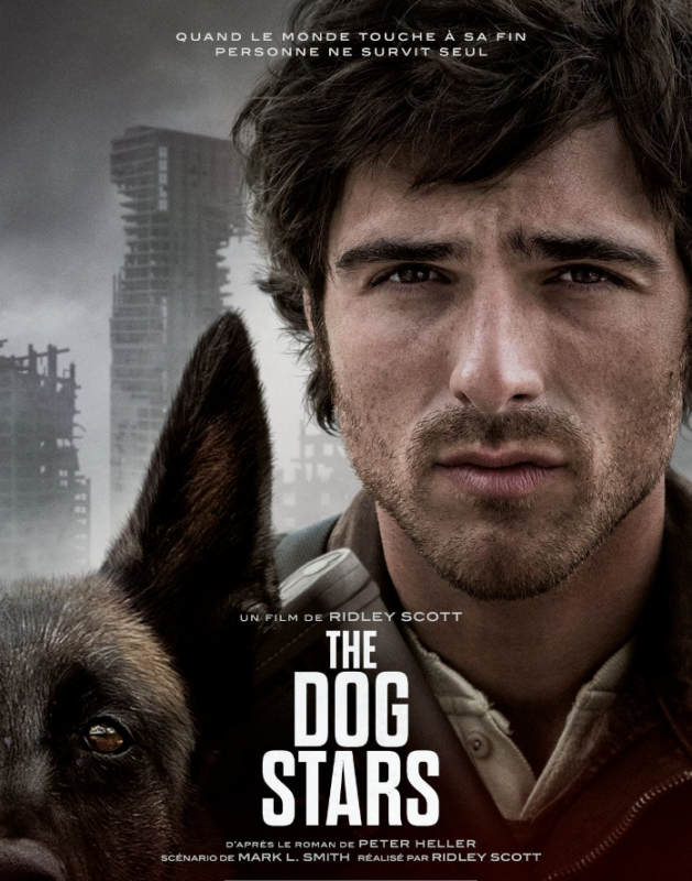 The dog stars