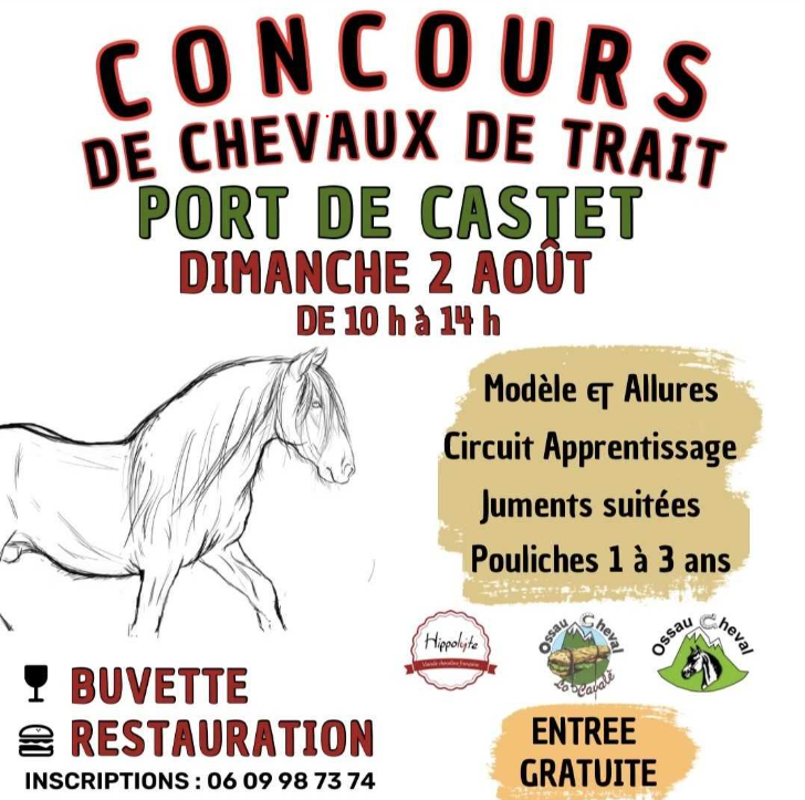 Concours chevaux de trait - © ©ossau cheval Concours chevaux de trait