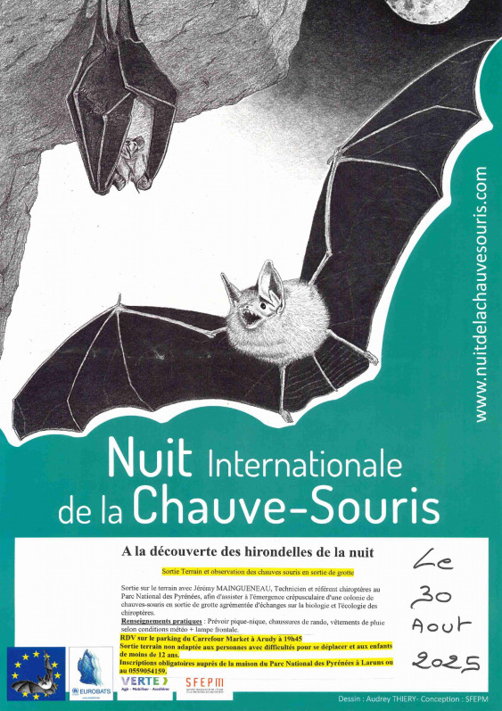 Chauve souris