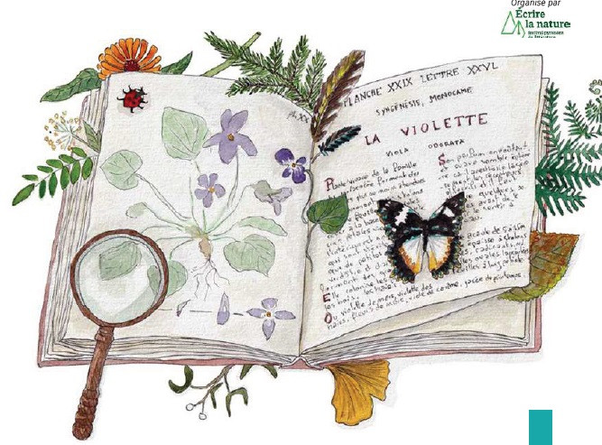 Dessiner la nature