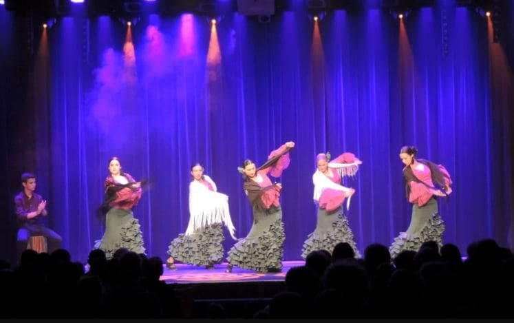 Flamenco Amaya
