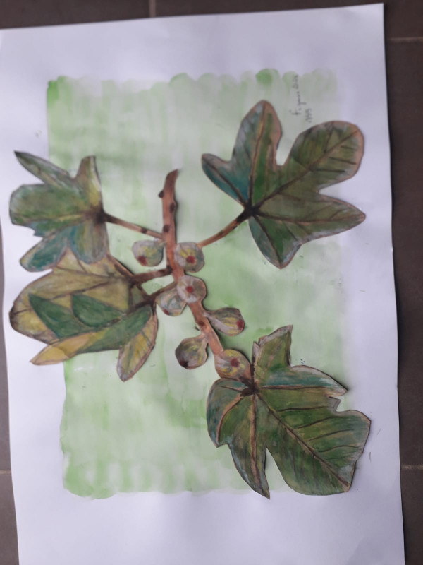 Aquarelle2 - © ©Los Auzelets Aquarelle2