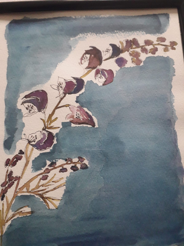 Aquarelle1 - © ©Los Auzelets Aquarelle1