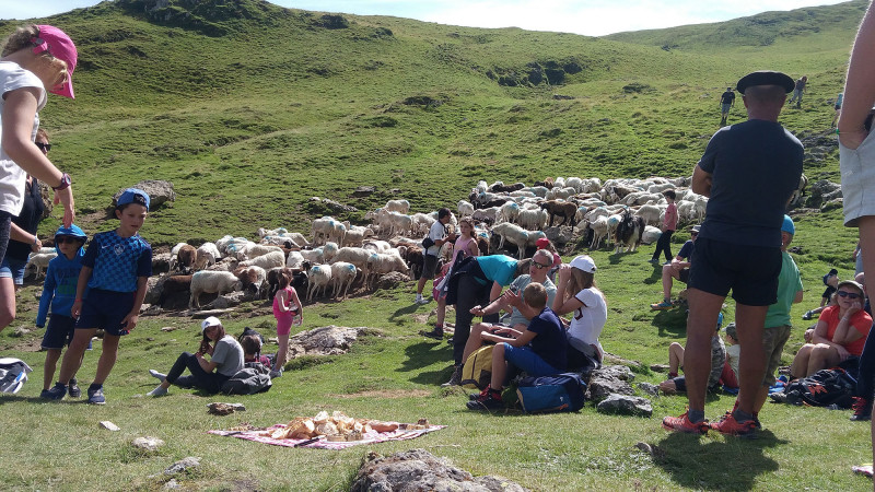 JP-Pommies13©JP-Pommies JP-Pommies13©JP-Pommies