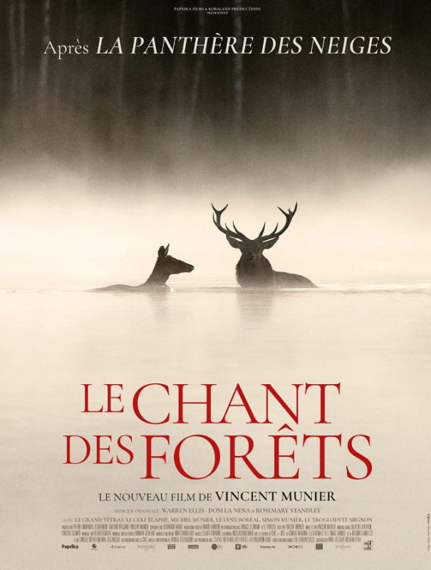 Le chant des forêts