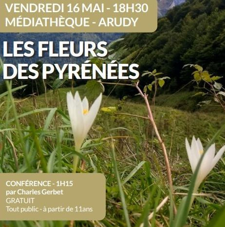 Les fleurs des Pyrénées