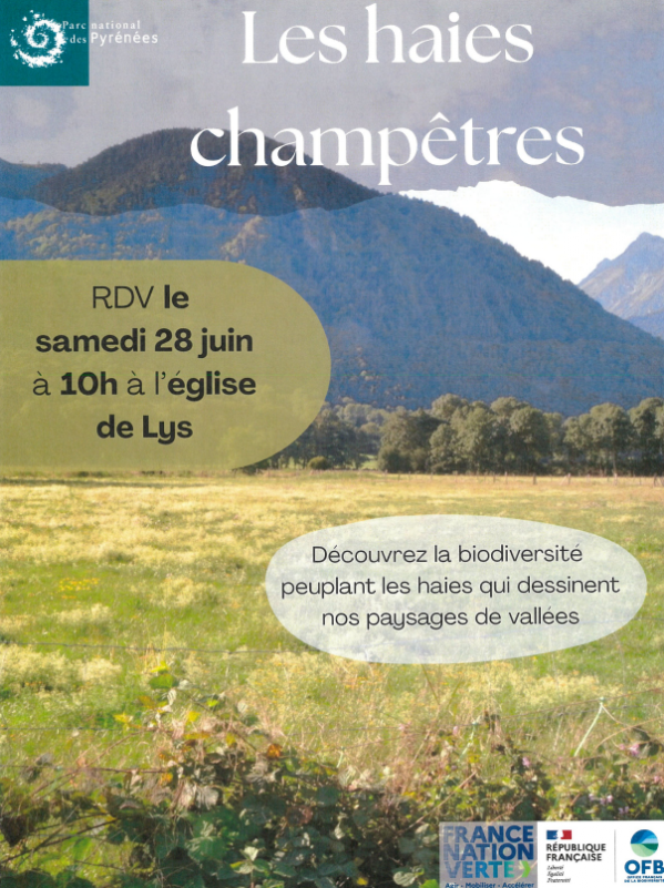 Les haies champêtres
