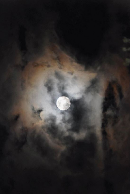 Randonnée sous la lune