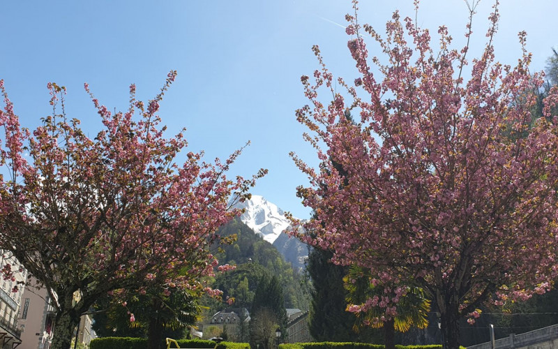 Village Eaux-Bonnes ©Natmed