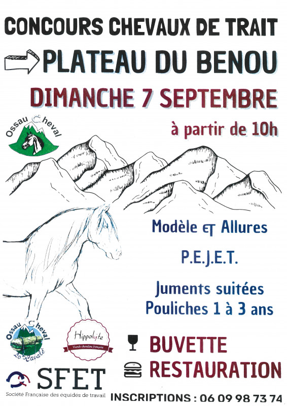 Concours chevaux de trait